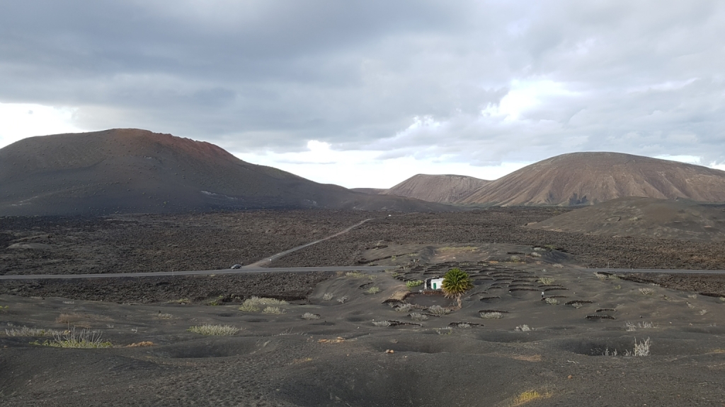 teletrabajar en Lanzarote