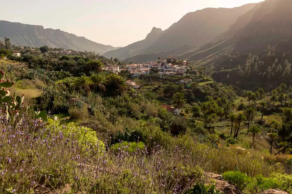 24 horas teletrabajando en Gran Canaria